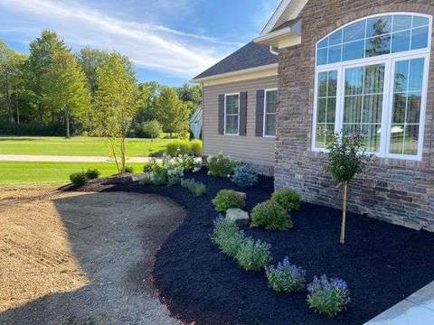 Foundation planting bed with shrubs and mulch